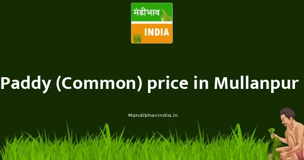 Paddy (Common) price